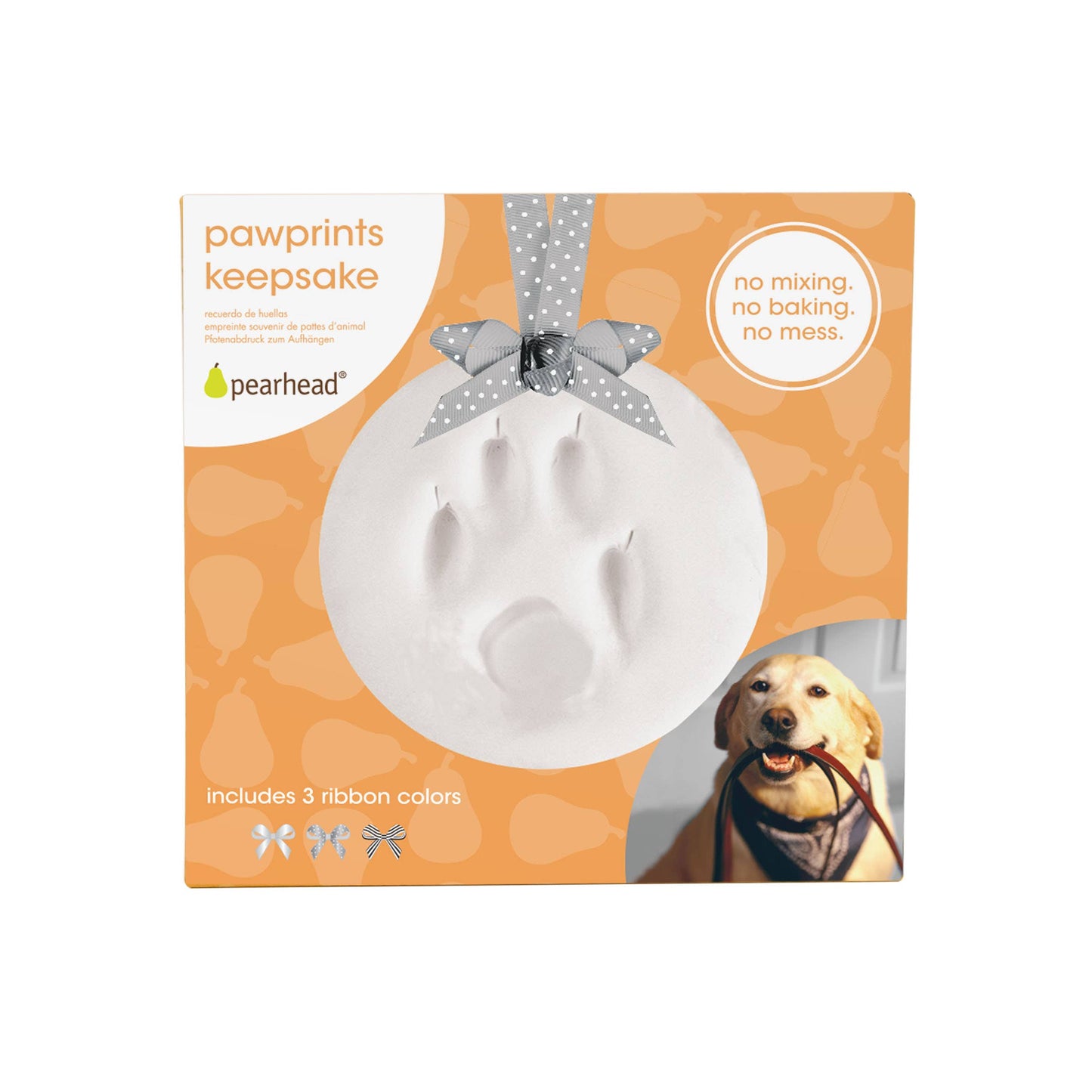 Pet Pawprints Keepsake Ornament Kit