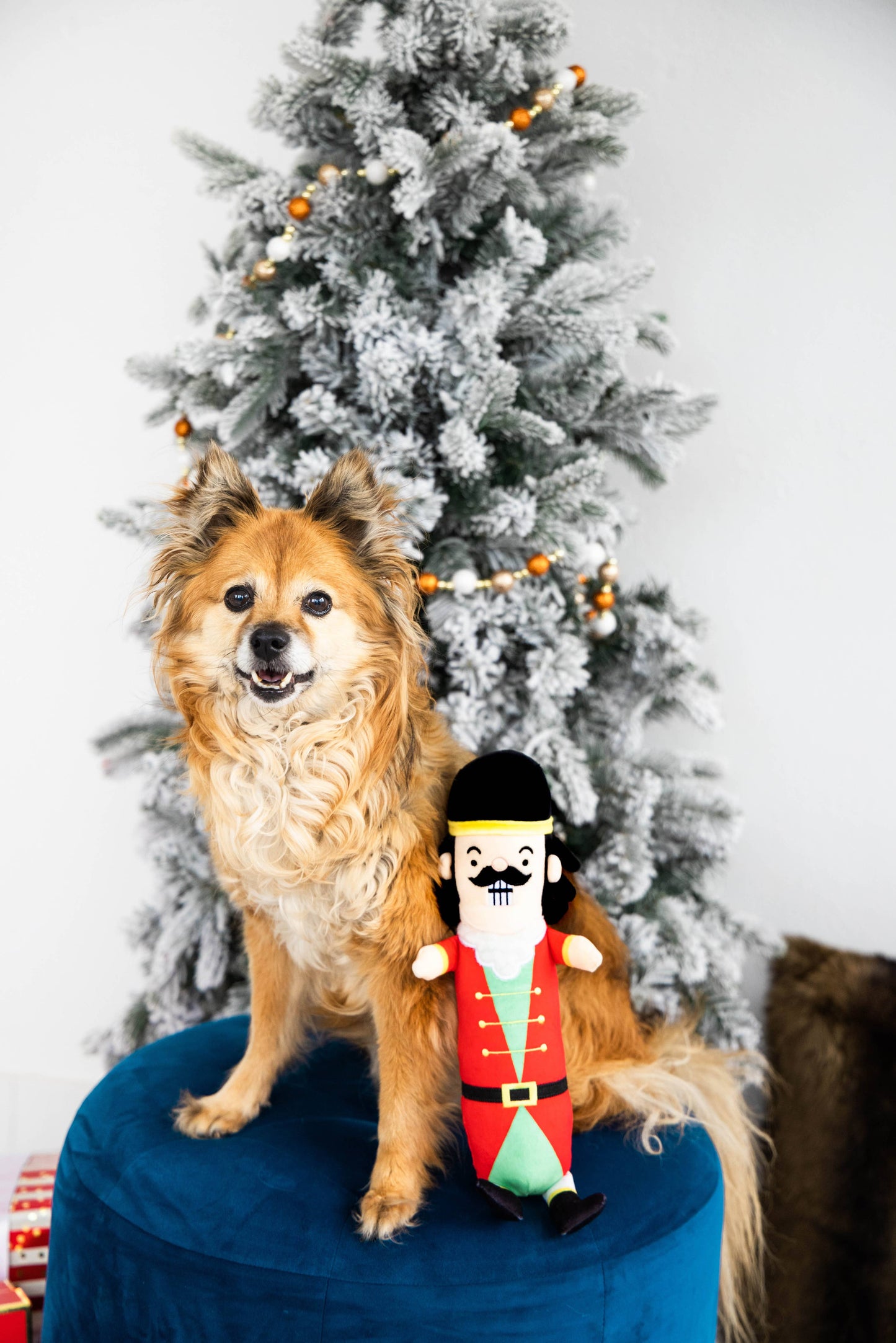 Muttcracker Holiday And Christmas Dog