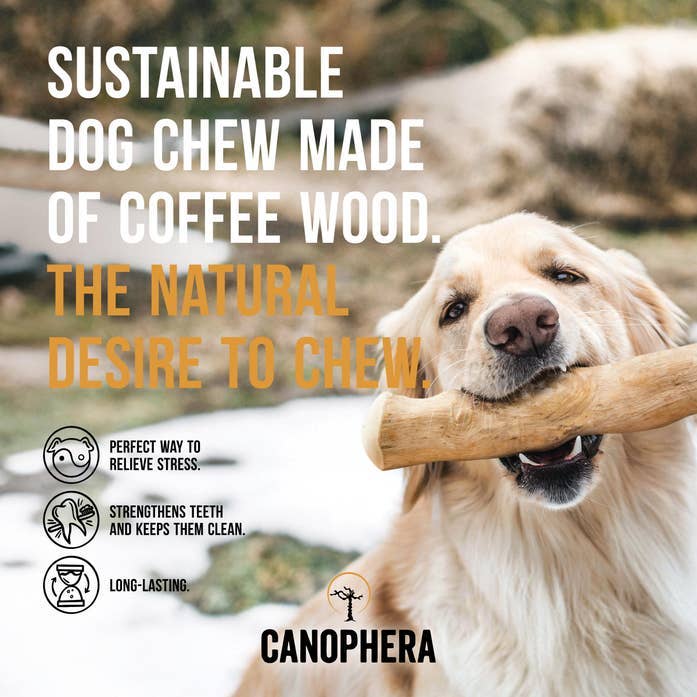 Dog Chews - Coffee Wood