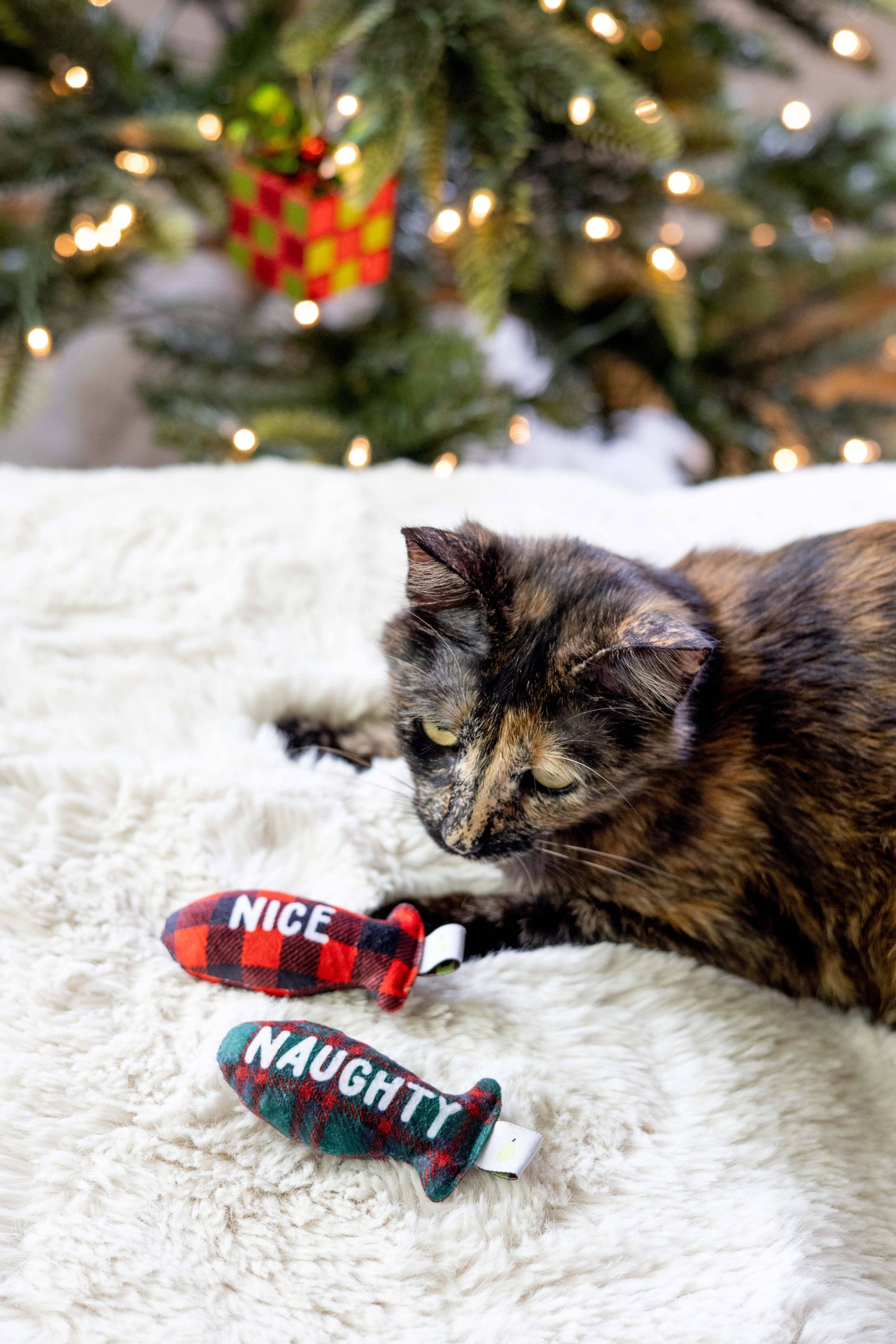 Christmas Naughty & Nice Cat Toys, Set of 2