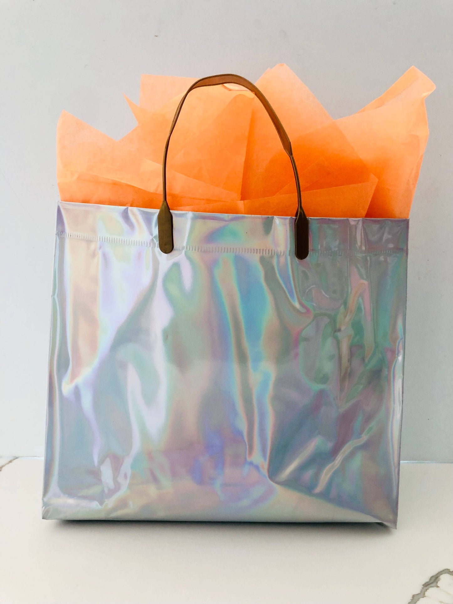 Iridescent Usable Bag